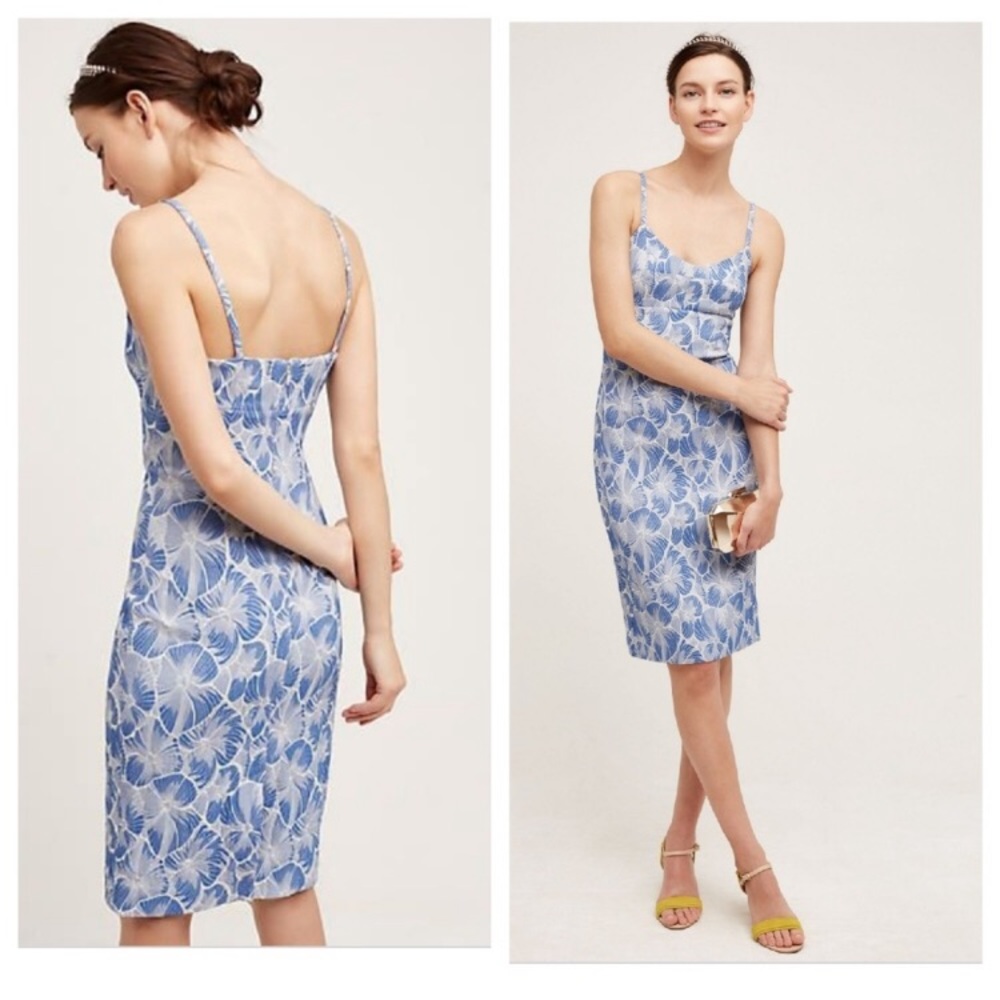 Anthropologie Blue and White Floral Dress